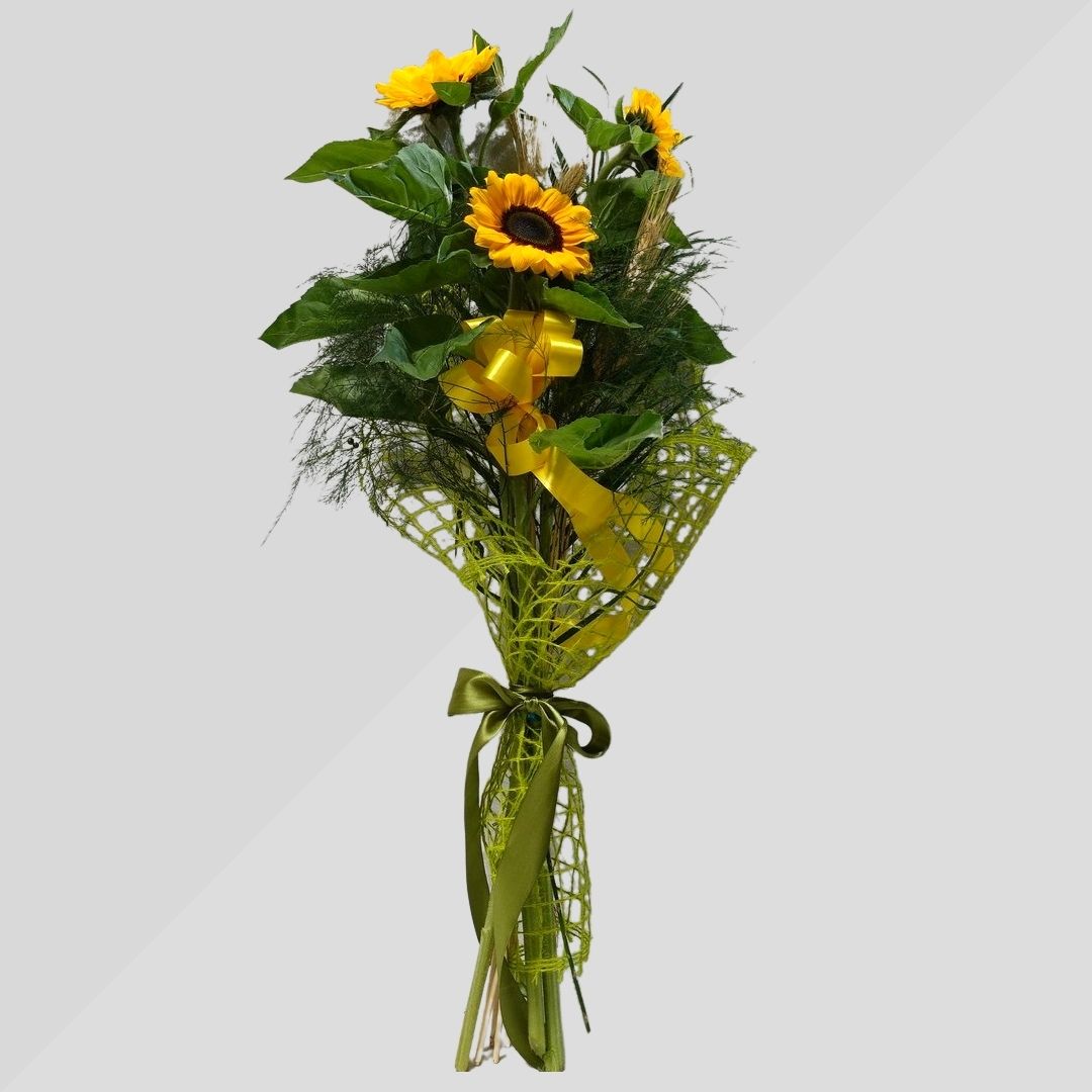 Girasoli (Cad.)