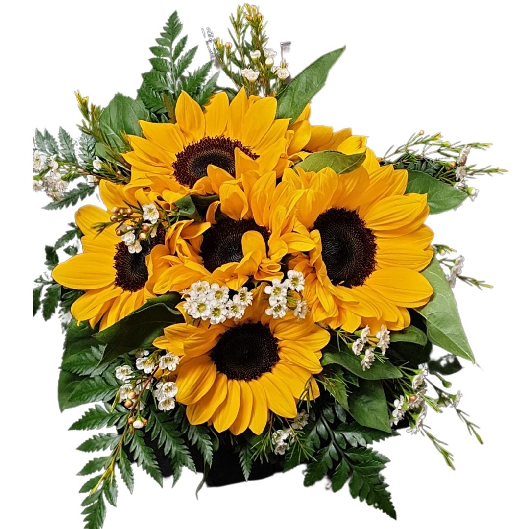 Girasoli (Cad.) - immagine 2