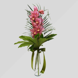Orchidea a stelo