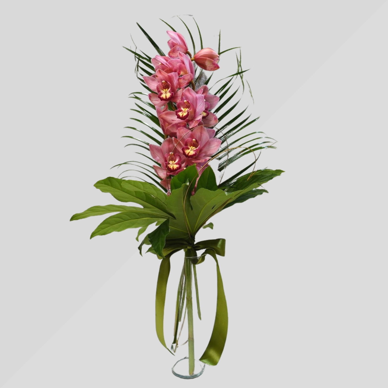 Orchidea a stelo